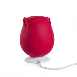 Juntame-Toys Lubes & Better Sex Rose Toy Charging
